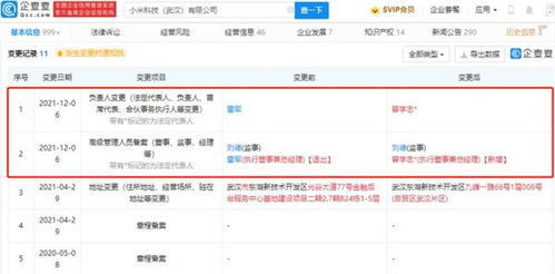 雷軍卸任小米科技武漢高管職務，聚焦戰略布局與數據處理業務發展